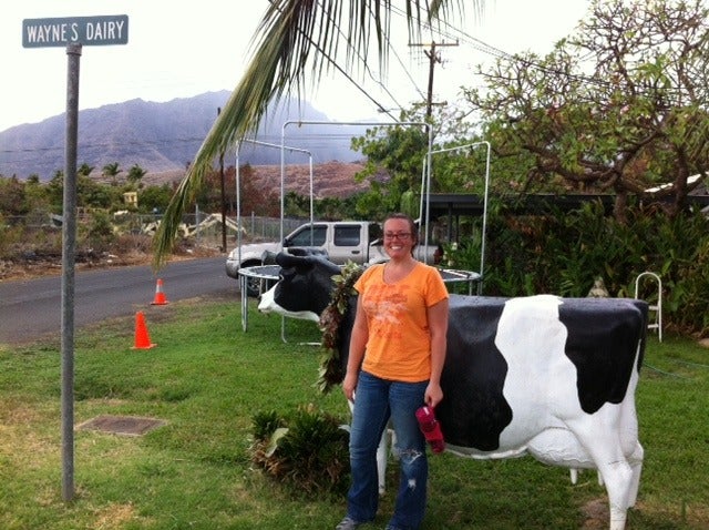 Naked Cow Dairy Work Day Tyler Hawaii