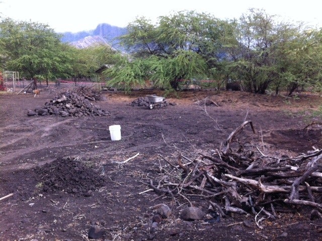 Naked Cow Dairy Work Day Tyler Hawaii