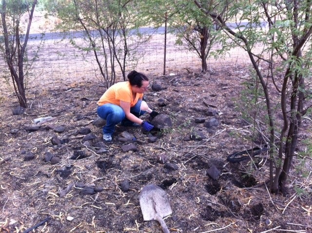 Naked Cow Dairy Work Day Tyler Hawaii