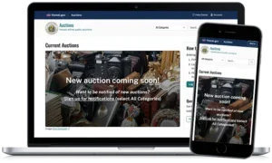 DOT Online Auction on mobile and desktop view