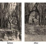 before and after photo of a trail