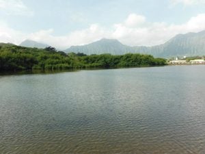 Water with mountains in background
