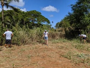 IMG_20190720_103909