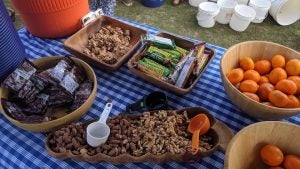 IMG_20190921_092346 Oranges, apples, nuts and snack bars