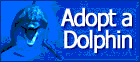adopt a dolphin icon