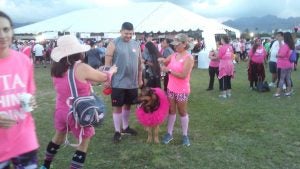 dog+walking Dog wearing a pink tutu