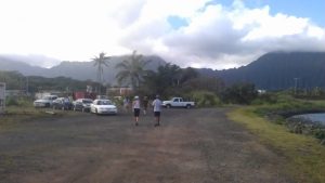 Two people walking towards cars