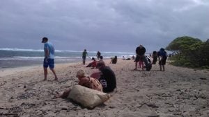 imag4375 group of people on beach