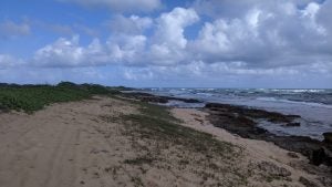 image000000 Beach coastline