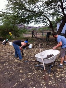image3 people working with wheelbarrow in foreground