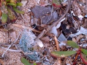 img-20130302-00091 closeup of trash particles on beach
