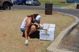 img_0230 Woman putting trash in box