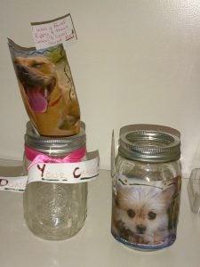 mason jars decorated with photos of dogs