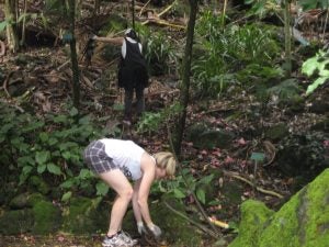 waimea+005 2 women clearing debris