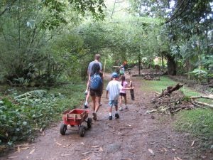 waimea+012 group of people pulling a wagon